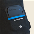 Brazo Therabody RecoveryPulse - L