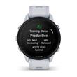 Forerunner 955